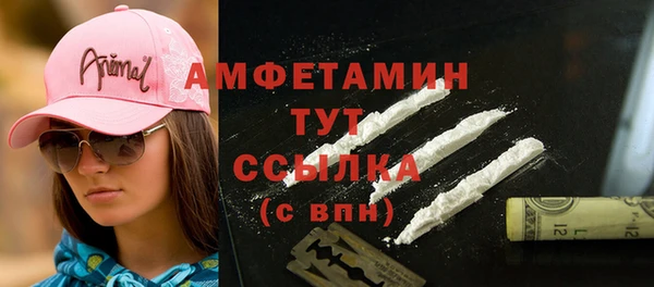 сатива Тихвин