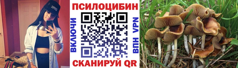 OMG как войти Краснокамск Псилоцибиновые грибы MAGIC MUSHROOMS