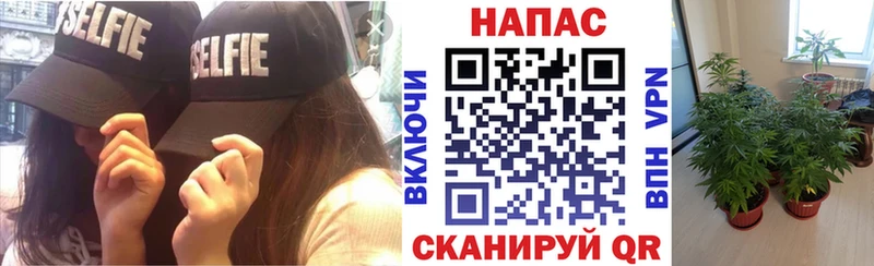 Каннабис MAZAR  купить наркоту  Краснокамск 